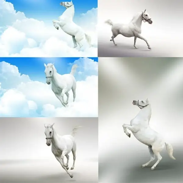 white ma gaoqing picture