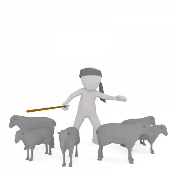 3d photo sketch of shepherd and sheeps