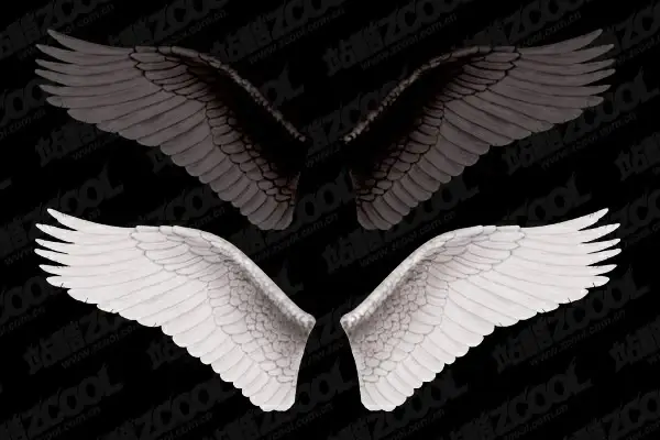 white wings and black wings layered 2
