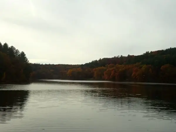 wide view of cox hollow lake in govenor dodge state park wisconsin