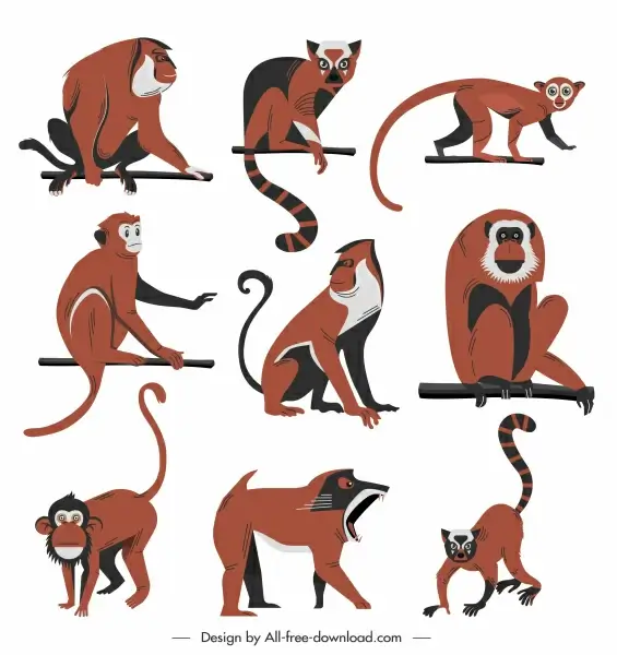 wild animals icons primate sketch colored cartoon sketch