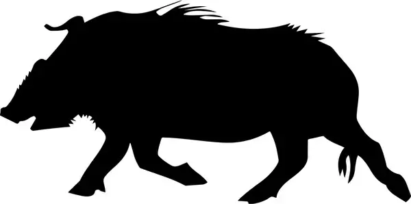 wild boar vector illustration with silhouette style