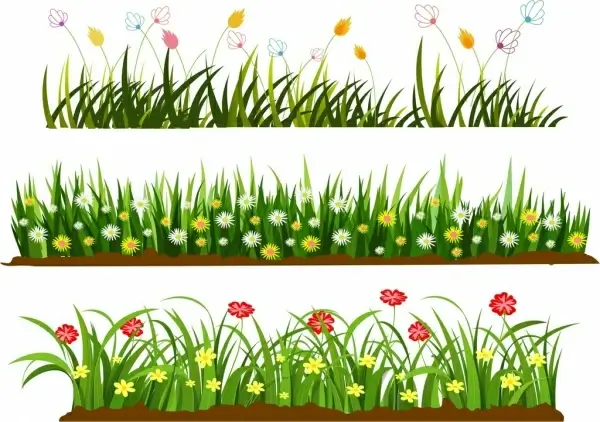 wild grass flowers templates colorful cartoon design