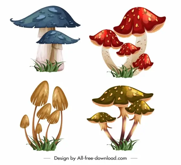 wild mushrooms icons colorful 3d sketch