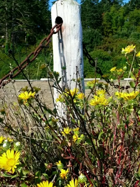 wildflowers post chain