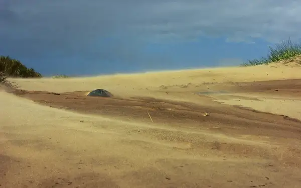 wind on sand