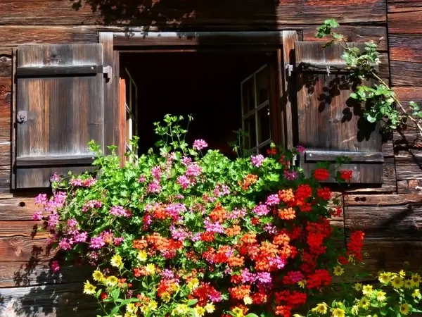 window farmhouse floral decorations