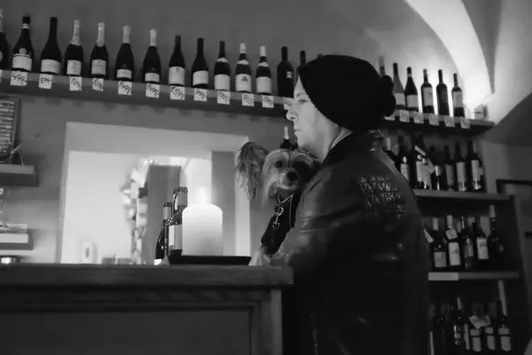 wine shop