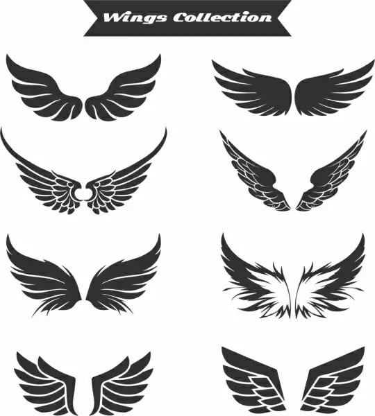wings icons collection flat black white design