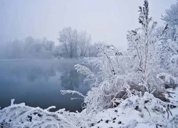 winter fog
