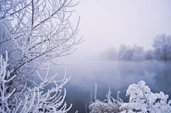 winter fog
