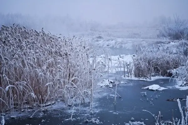 winter fog 3