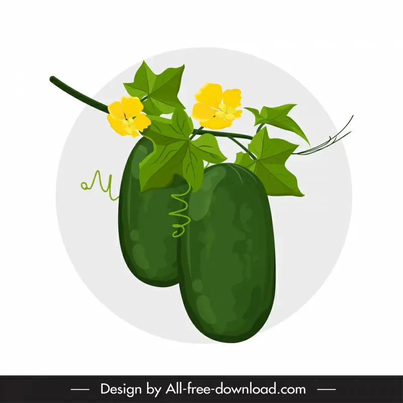 winter melon branch icon fruit leaves branch flower sketch classic design 