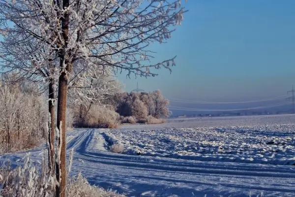 winter white snow covering in countryside