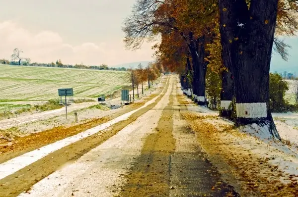 winter road