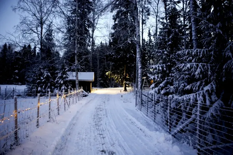 winter scenery picture empty contrast