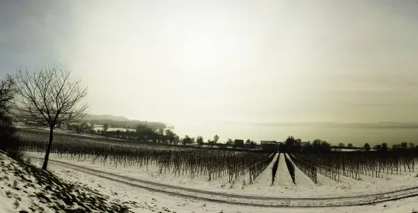 winter snow lake constance