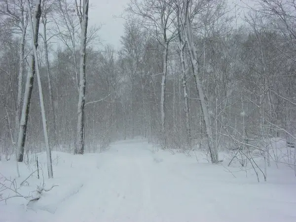 winter snowstorm