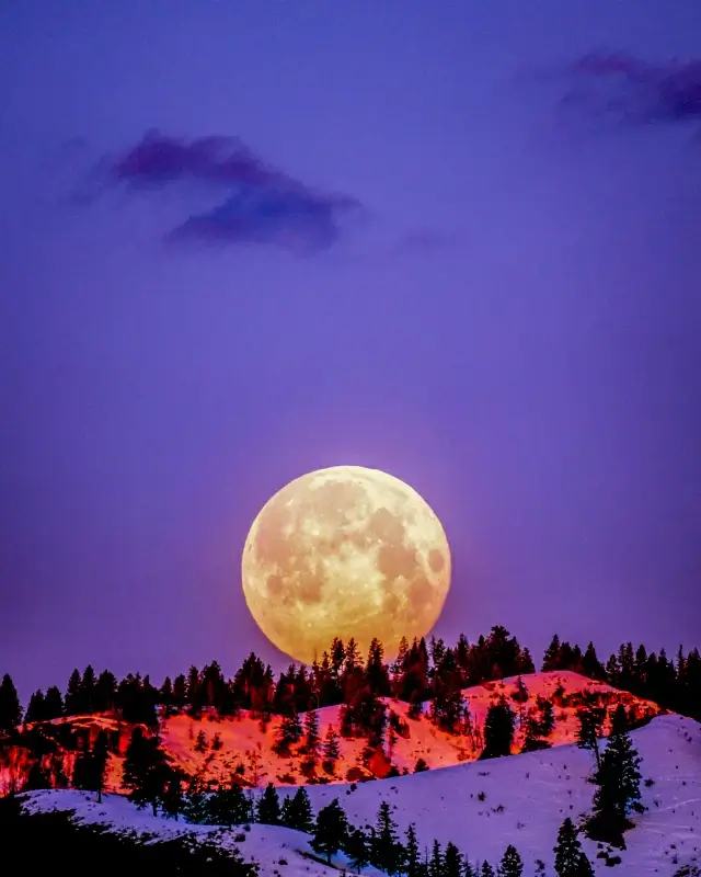 winter time scenery picture elegant full moon snowy scene  