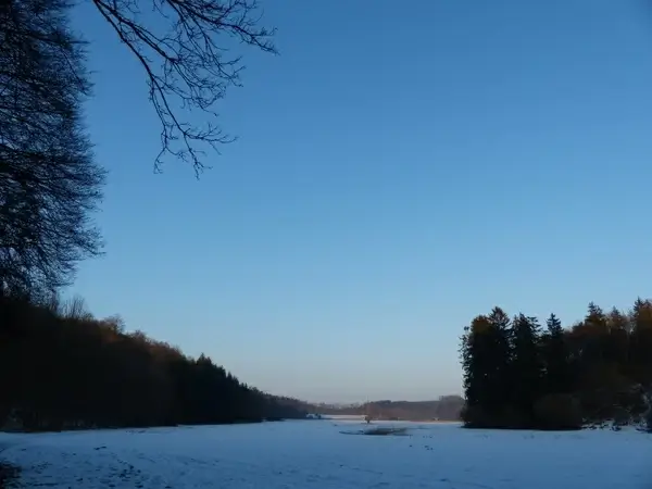 wintry lonetal winter