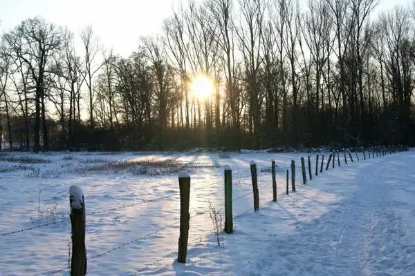 wintry snow cold