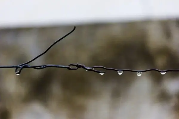 wire drops rain