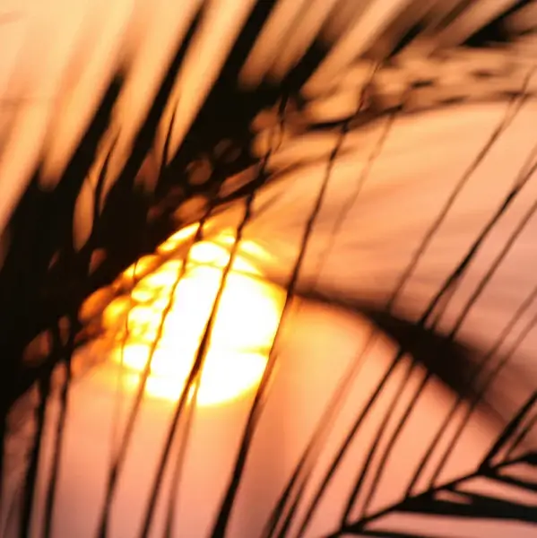 with each sunrise