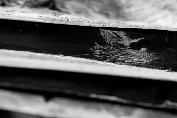 wood