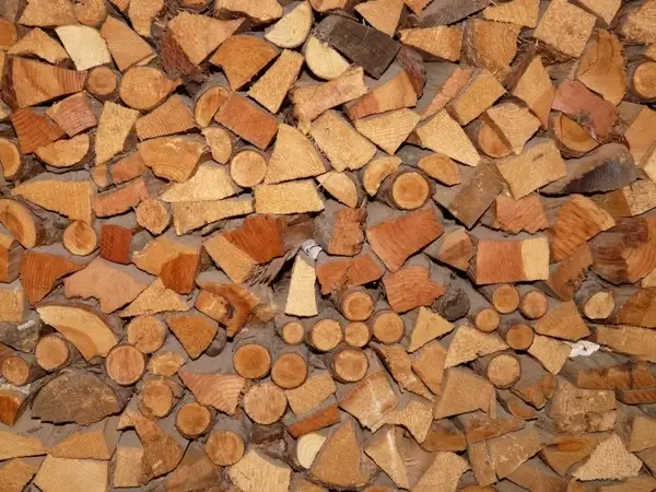 wood holzstapel firewood
