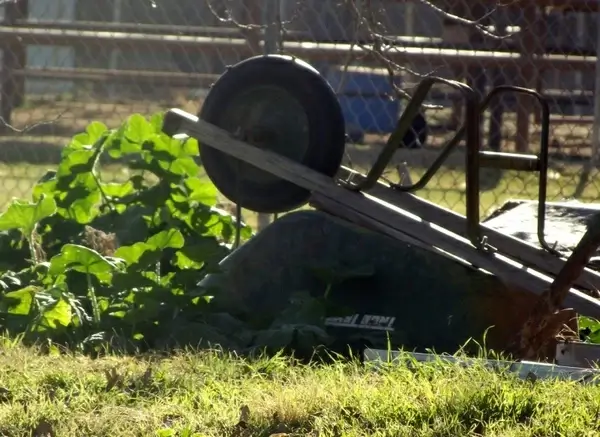 yard and wheelbarrow