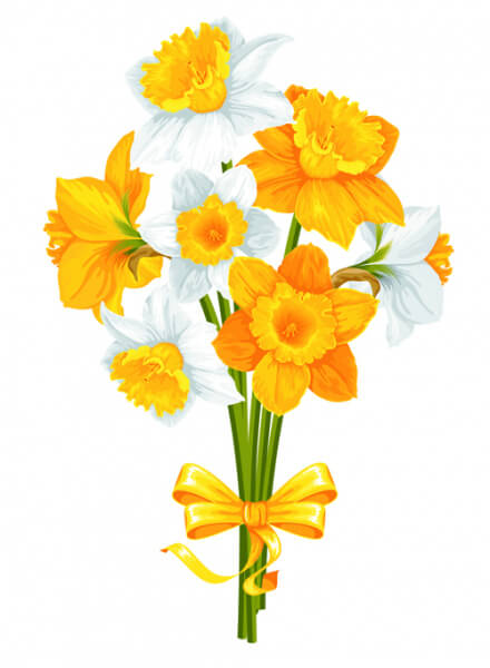 yellow and white flowers vector