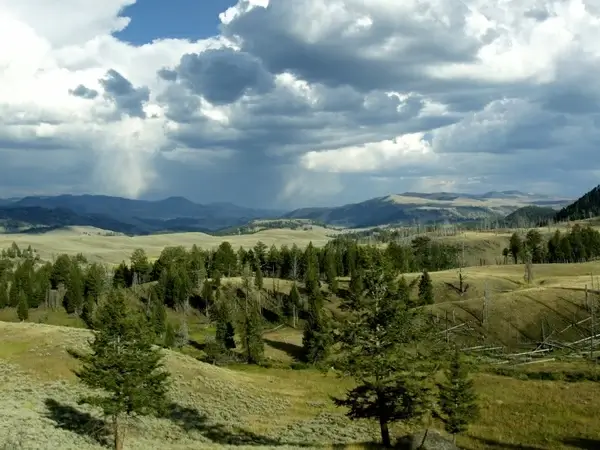 yellowstone national park wyoming usa