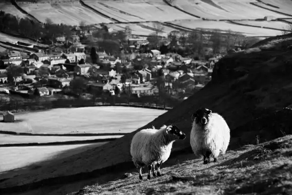 yorkshire dales