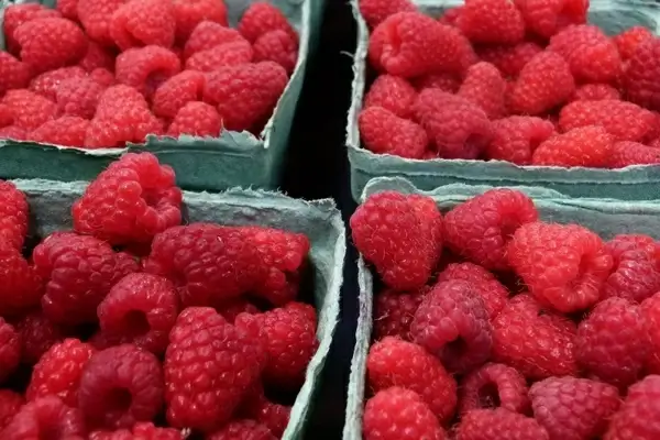 yummi raspberries fruits