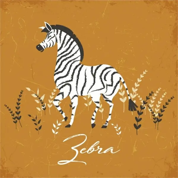 zebra drawing classical colored design