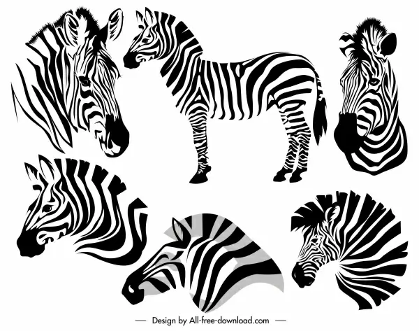 zebra icons black white sketch