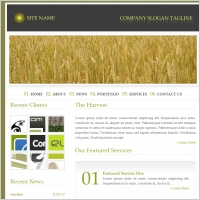 Paddy Harvest Template Free website templates in css, html, js format ...