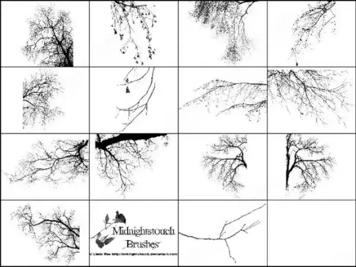14 photoshop 7 tree border brush