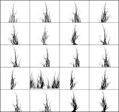18 swirl tree brush