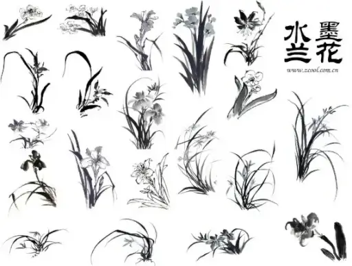20 painting ink orchid hd picture
