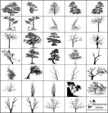 35 photoshop 7 tree brush
