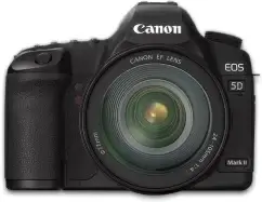 5d front