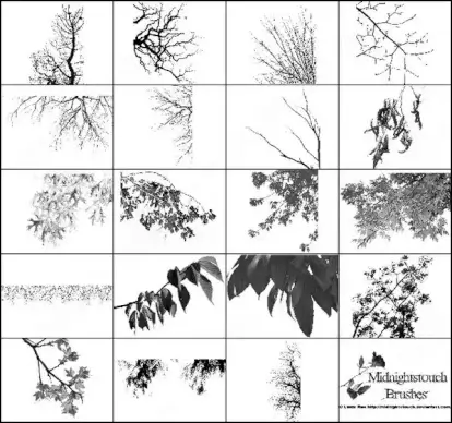 60 photoshop 7 tree branches brush