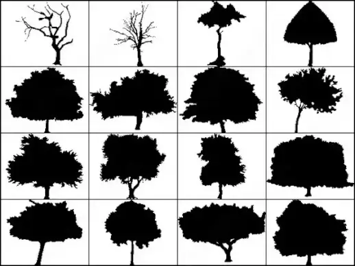 6 big silhouettes tree brush
