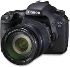 7d side