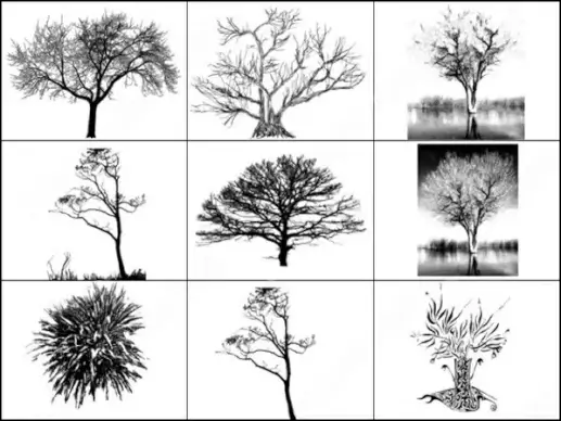 9 tree brush