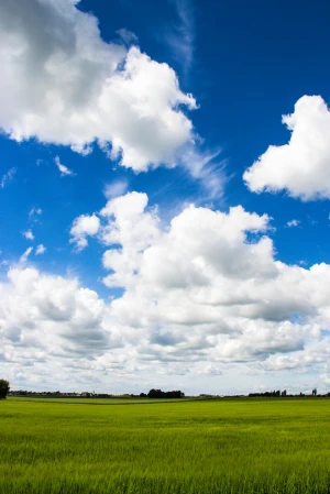 a clouded day