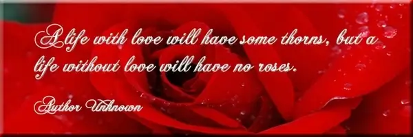 a life with love quote