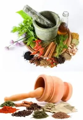 a variety of spices and garlic mortar definition picture