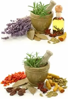 a variety of spices and garlic mortar highdefinition picture